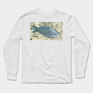 Parrot Fish Long Sleeve T-Shirt